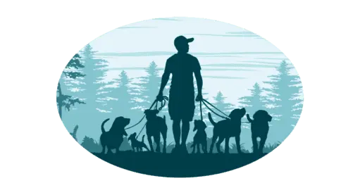 Dog Walk, Gassi Service mit mehreren Hunden