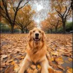 Glücklicher Hund im Herbstlaub