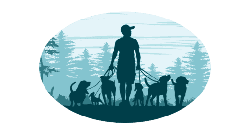 Dog Walk, Gassi Service mit mehreren Hunden