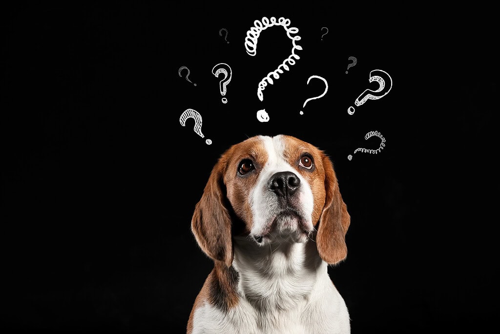 Depositphotos 564315334 XL