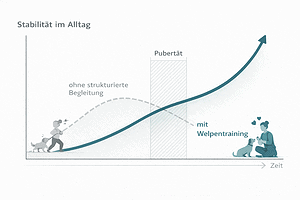 Welpentrainingspaket